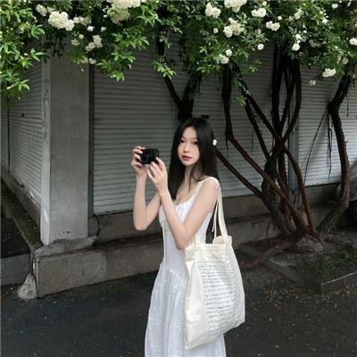 没人瞭波斯猫